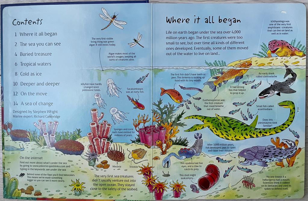 Usborne See Under the Sea Carte cu clapete