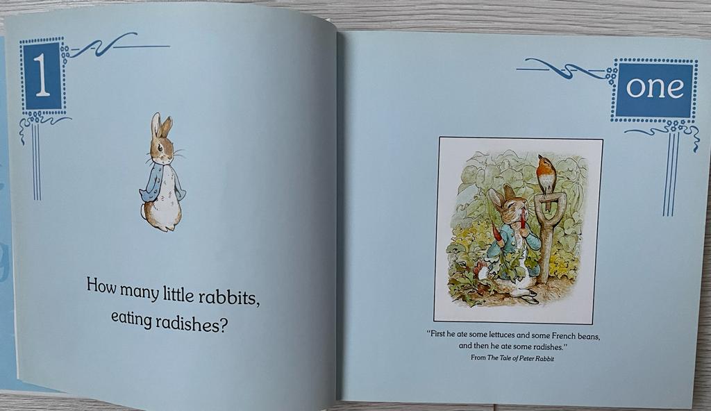 Peter Rabbit Little Learning Book