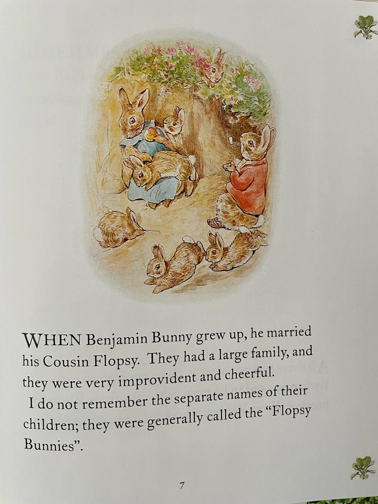 The Peter Rabbit Library - gift box cu 10 cărți